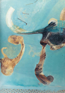 Thumbnail Placeholder